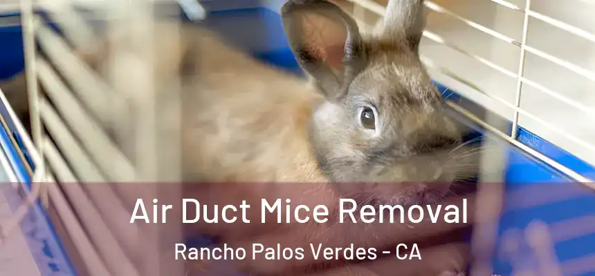  Air Duct Mice Removal Rancho Palos Verdes - CA