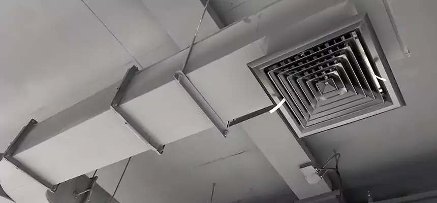 Restorative Allergy Relief Vent Cleaning – Coil, Blower & Housing Detail in Rancho Palos Verdes