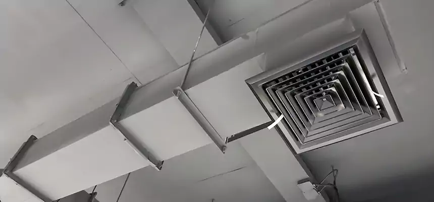 Our Rodent Droppings In Vents Services in Rancho Palos Verdes, CA