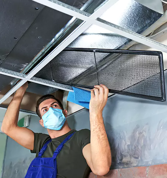 About Air Duct Bacteria Removal in Rancho Palos Verdes