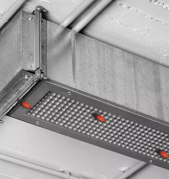 About Air Duct Cockroach Removal in Rancho Palos Verdes, CA