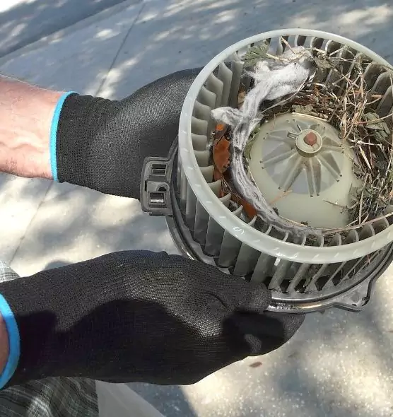 About Air Duct Mice Removal in Rancho Palos Verdes, CA