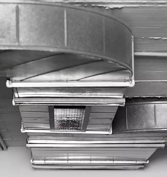 Professional Air Duct Pet Hair Removal in Rancho Palos Verdes, CA