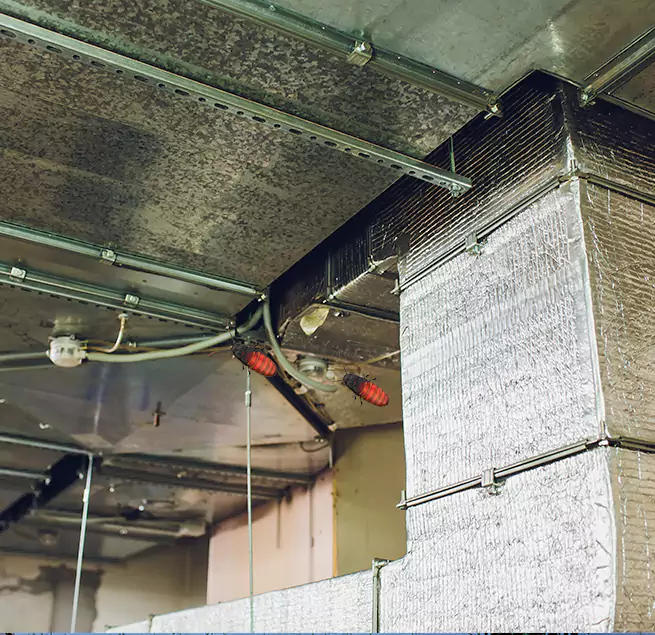 Why Homeowners & Businesses Trust Us in Rancho Palos Verdes, CA?