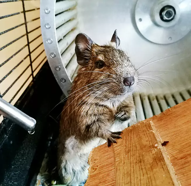 Why Homeowners & Businesses Trust Us Rancho Palos Verdes, CA