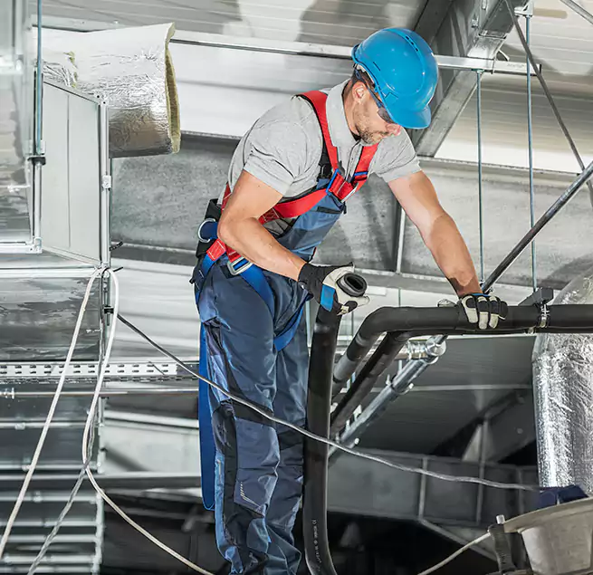 Why Homeowners & Businesses Trust Us in Rancho Palos Verdes, CA?