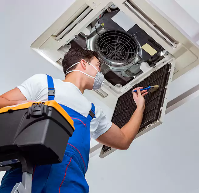 Why Homeowners & Businesses Trust Us in Rancho Palos Verdes, CA