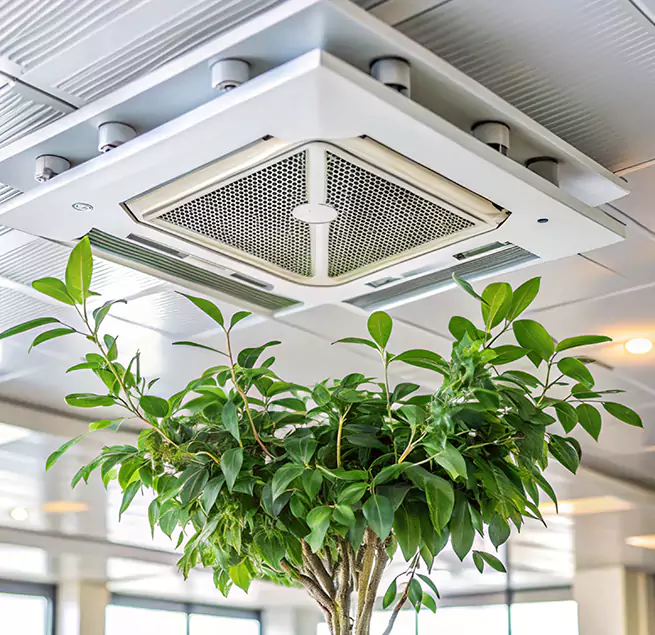 Why Homeowners & Businesses Trust Us in Rancho Palos Verdes, CA